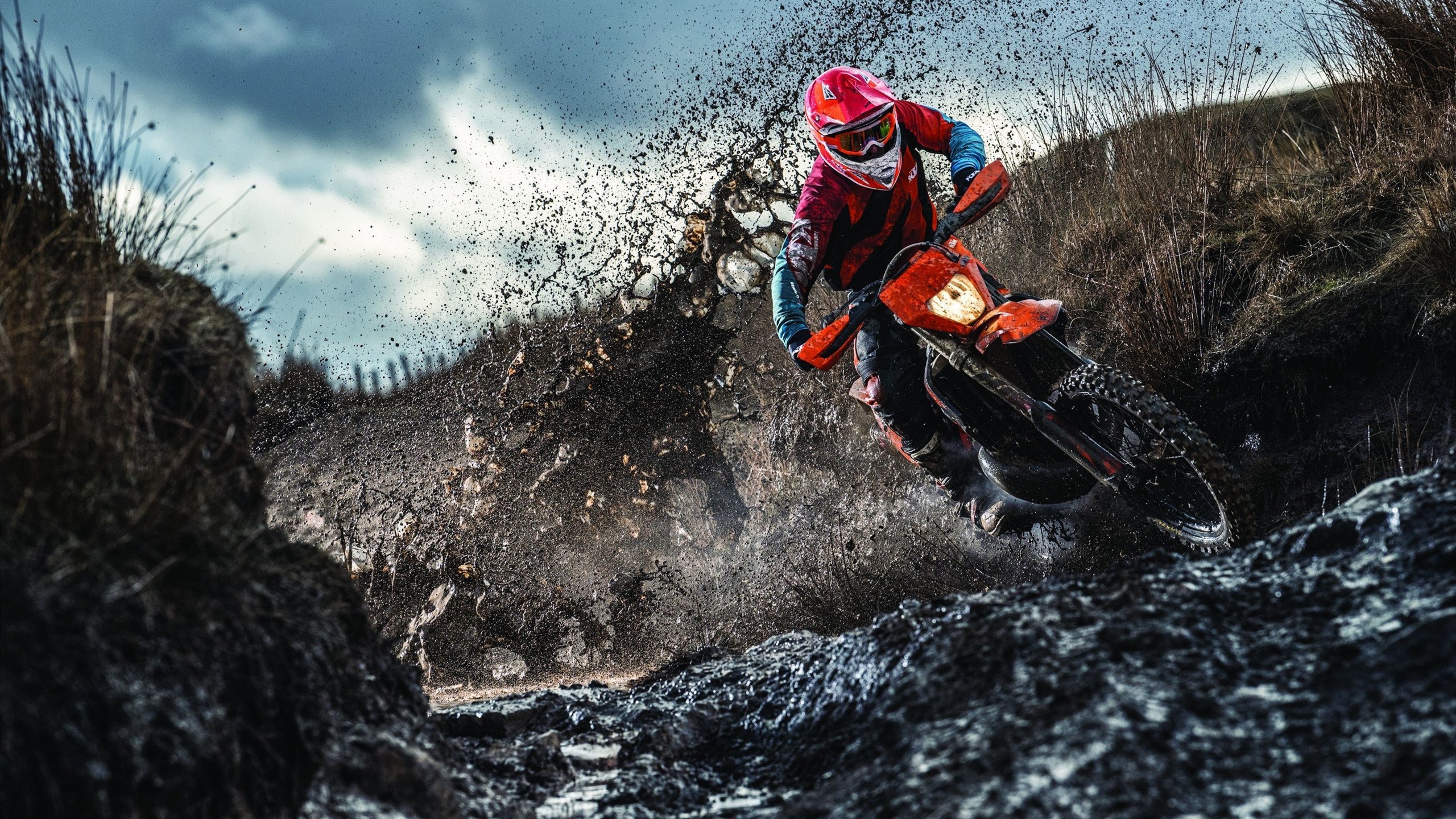 拜仁锋线新宠崭露头角，未来大势在望，拜仁神锋